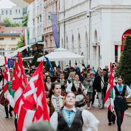 Cityluxandloft 1 Bestern アパート セゲド