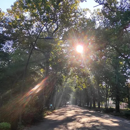 Cityluxandloft 1 Bestern * セゲド